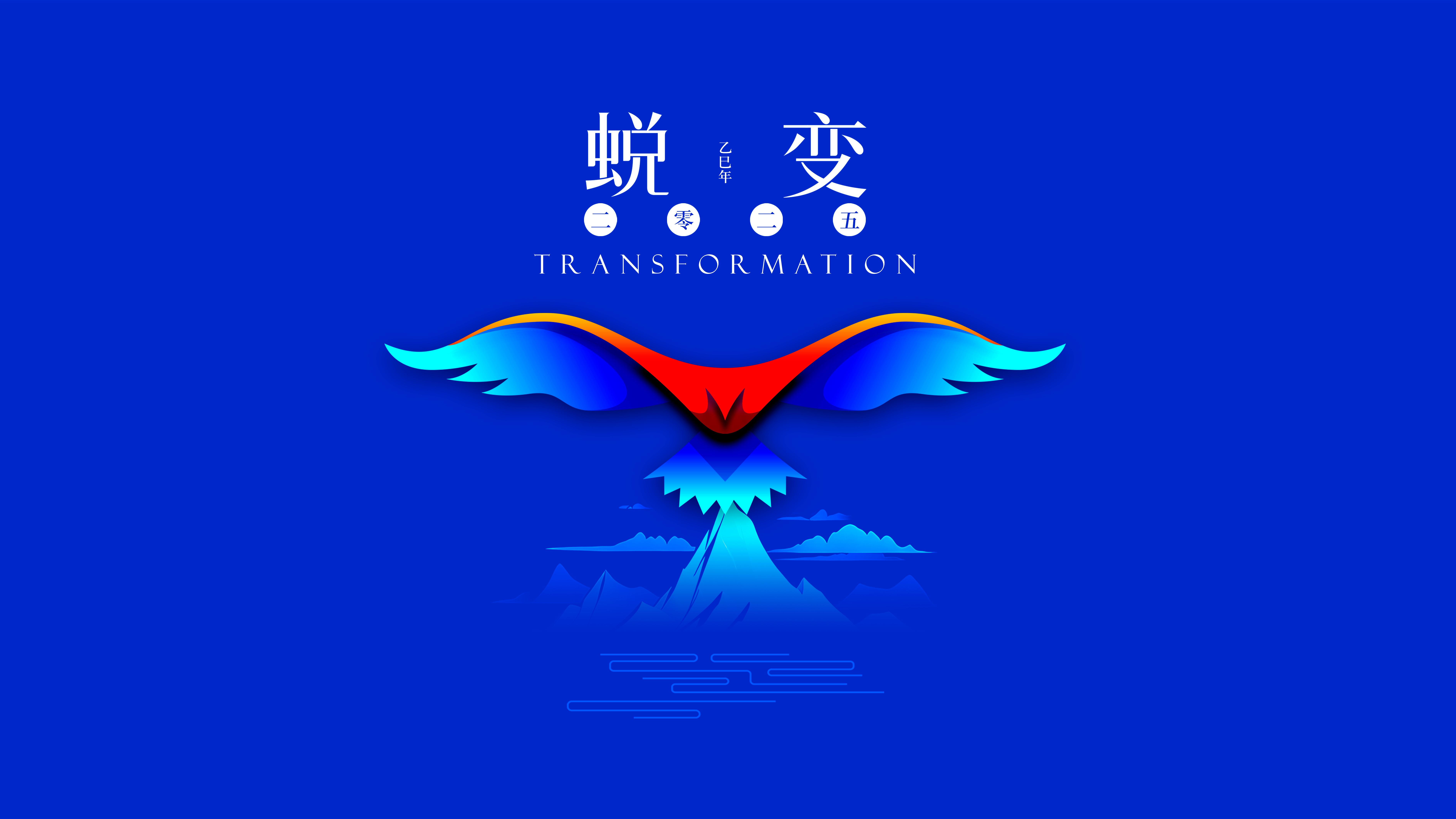 我與海星的2024，期待2025年與您一起續寫(xiě)美好篇章